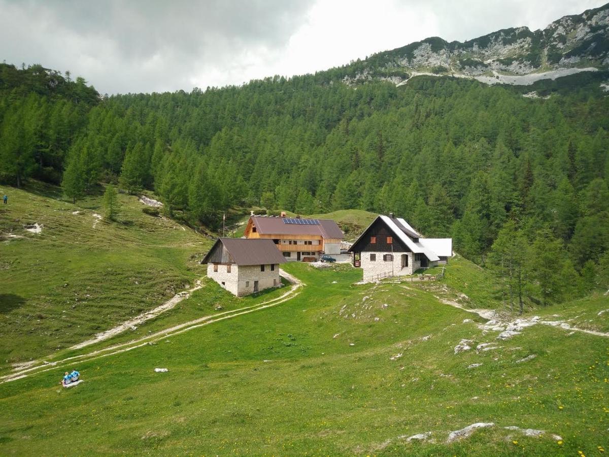 Bauernhof Homestead Zatrnik Near